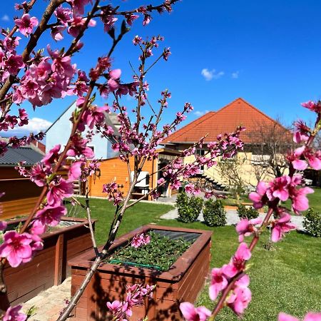 Ferienwohnung Negy Evszak Vendeghaz Nyúl Exterior foto