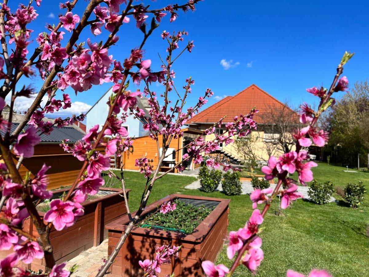 Ferienwohnung Negy Evszak Vendeghaz Nyúl Exterior foto